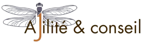 Logo libellule et texte fond marron